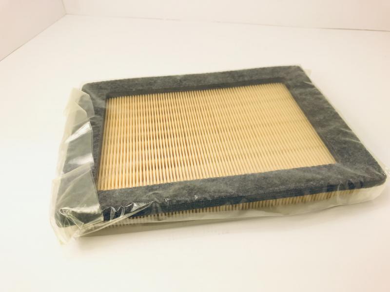 Air Filter - 04+ Ford F150 | Europa Specialist Spares